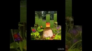Лето _ это маленькая жизнь. Лето_ самое чудесное и романтичное время года.💚💜💕💛🌿.mp4