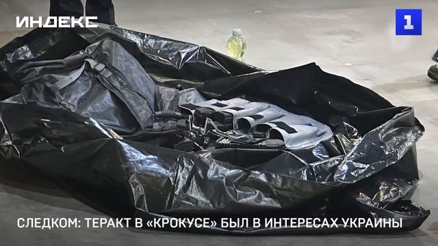 Следком: теракт в «Крокусе» был в интересах Украины