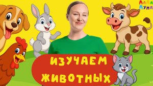 Сборник Весёлых и Познавательных Песенок про Животных Детям 0+ #детям #мультик #развивашки
