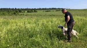 Грэй в поле и немного апортировки