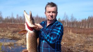 Нальчик улица Фанзиева по заказу подписчика Александр. Кабардино-Балкария. Район Александровка