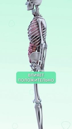 ЛУЧШЕЕ средство от ЗАПОРОВ! #здоровье #запоры #кишечник