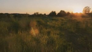 Прогулка на велосипедах и DJi Neo