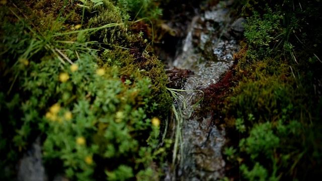 Soothing video compilation  Relaxing video  Music to clear the mind  Music for love  Hygge