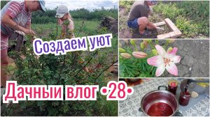 РАБОТА НА ДАЧЕ 🔥 СОЗДАЕМ ДАЧНЫЙ УЮТ // ЖУК НА КАРТОФЕЛЕ