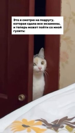 Довольная ухмылка