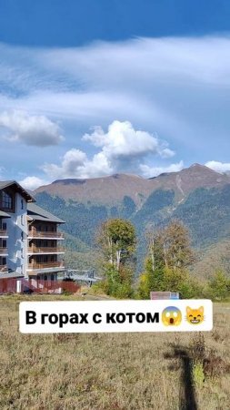 В горах с котом 😱