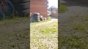 подпищики