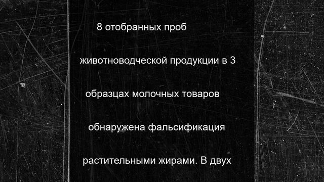 Россельхознадзор выявил массовые нарушения в магазинах «Светофор» в Дагестане