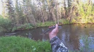 Рыбалка на ХАРИУСА в ДИКИХ МЕСТАХ # БЫТ, УХА НОЧЁВКА в ЛЕСУ# СТРАШНАЯ ГРОЗА И ЛИВЕНЬ ИСПОРТИЛ ВСЁ!