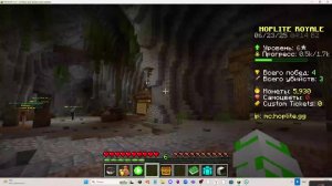 Играю на hoplite.gg