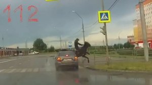 ДТП с Лошадью в Магнитогорске, Челябинской области