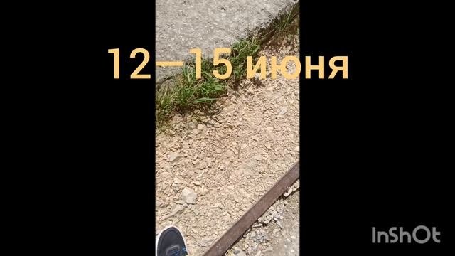 кабардино-балкария