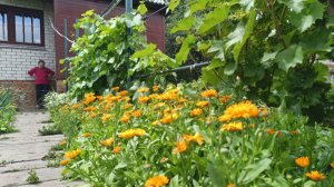 УЕХАЛИ НА РОДИНУ В КАЗАХСТАН❤🇰🇿/УВИДИМСЯ НЕ СКОРО/УБИРАЕМ ХОЗЯЙСТВО/