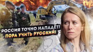 Весенний психоз Калас: Эстония в истерике – роет окопы и прячется в бункерах