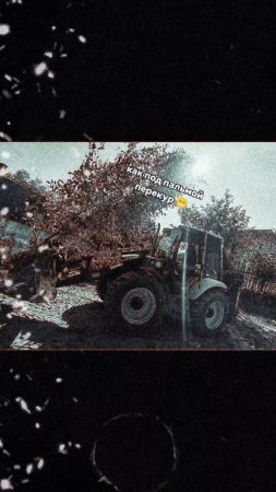 перекур..как под пальмой стою на гаити😁