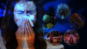 МАТРИЦЫ-ГАРЯЕВА.РФ АРХИВ: Чистая Матрица Аллергии Петра Гаряева скачать