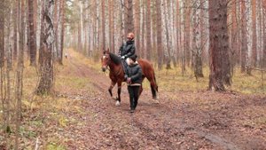 Конная прогулка