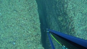 26 мая 2025 г.