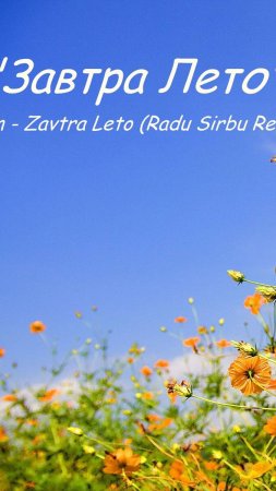 "Завтра лето" (коллаж на песню)