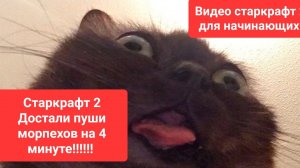 Старкрафт 2. Достали терраны с пушем мариков!!!! Играем за протосса и отбиваем это. Золотая лига