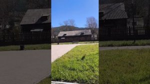 Петровск-Забайкальский. Дамская улица. Сентябрь 2024 года.