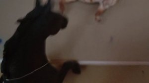 сериал 613 2 серия