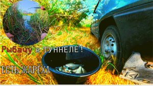 НАШЁЛ ГДЕ РЫБА ПРЯЧЕТСЯ ЛЕТОМ))ПОКА ЗАПРЕТ, ЛОВЛЮ НА МОРМЫШКУ ПОПЛАВОЧНОЙ УДОЧКОЙ))