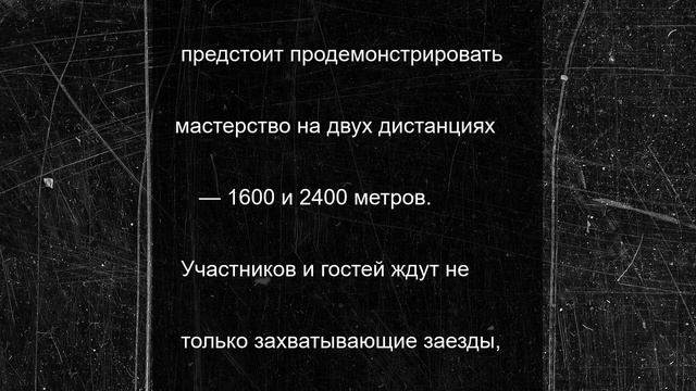 Кубок Главы Чувашии по конным бегам покажут в прямом эфире