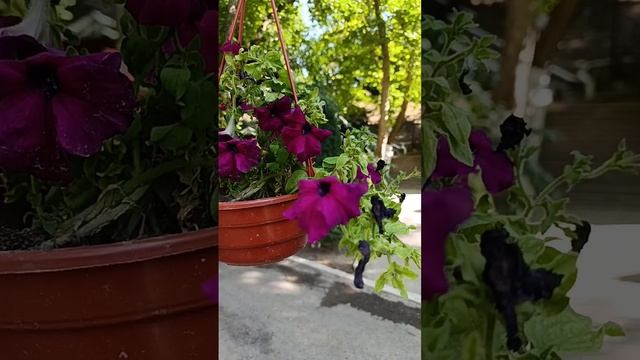 23-06-2025 УЗБЕКИСТАН . Как же там красиво 🫶 Потрясающие зоны отдыха Узбекистана
