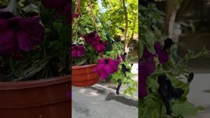 УЗБЕКИСТАН . Как же там красиво 🫶 Потрясающие зоны отдыха Узбекистана. Обзор