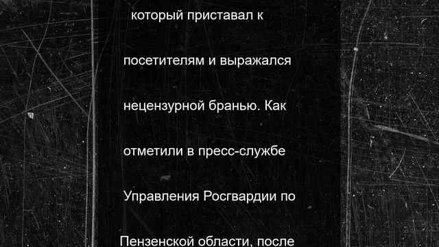 Пьяный посетитель устроил дебош в торговом центре в Пензе