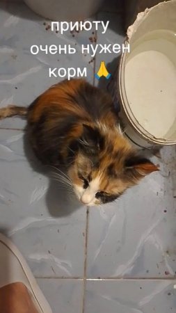 +7985 193 0027 сбер, элплат