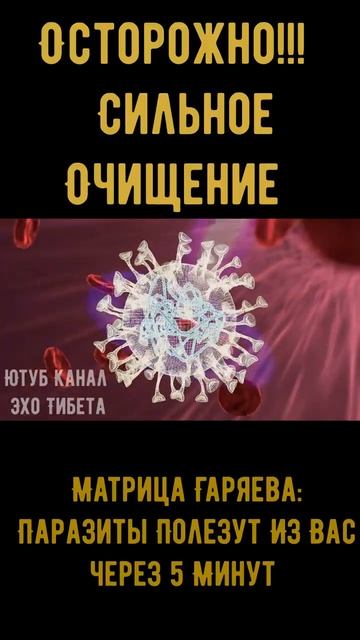 Матрица Гаряева для очистки от паразитов Через 5 минут они с вас полезут смотреть онлайн