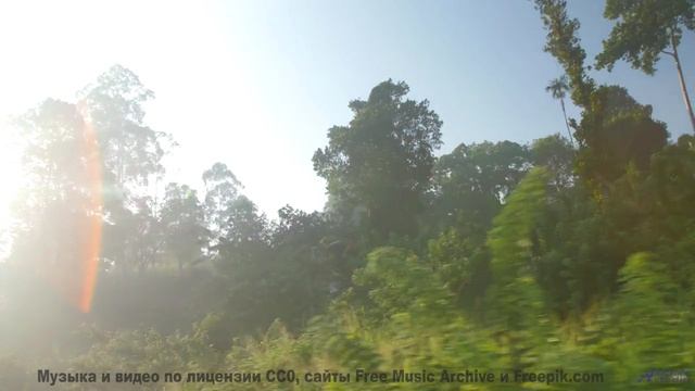 Клип, созданный блокчейном - технологии меняют искусство! - Life And Times -- Chad Crouch -- Motion