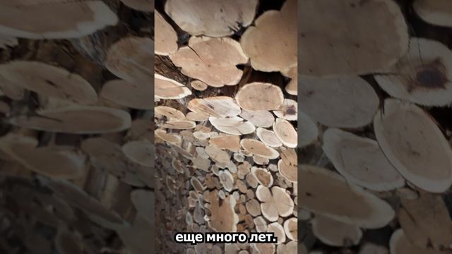 Лучшая Баня 24 года!