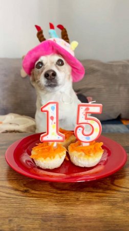 Джеку 15 🎈