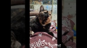Рыська. 1 год
