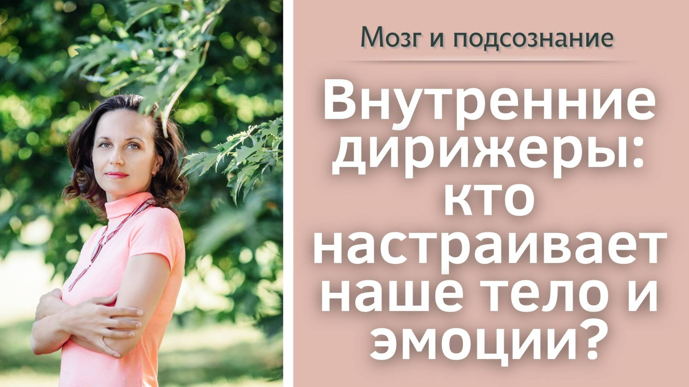 Внутренние дирижеры:  кто настраивает наше тело и эмоции?