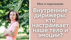Внутренние дирижеры:  кто настраивает наше тело и эмоции?