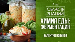 Как добиться необычного вкуса у самых обычных продуктов. Лекция химика Валентина Новикова.