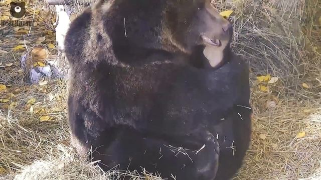 Зарядка обязательный элемент каждого утра