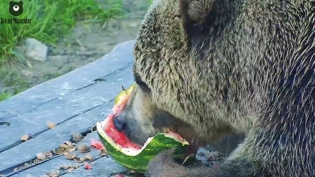 Охлаждающий, сочный арбуз после купания