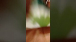 1000010966.mp4