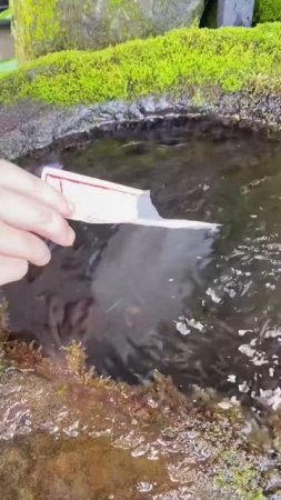 ImmhZq0J8Fo - 熊本阿蘇【水に浸けると文字が浮かぶおみくじ！夏の九州おすすめスポット】#熊本 #阿蘇 #おみくじ #インスタ映え #自然 #夏 #tiktok #shorts #japan