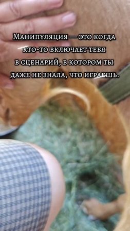 Будни женщины с хозяйством и характером