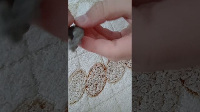 собираю игрушку из киндера