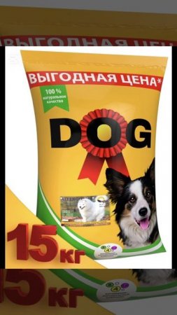 Корм для собак и кошек