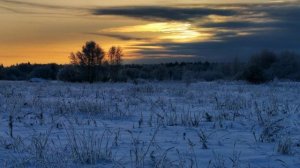 Это радуга звёзд (Suno Ai)