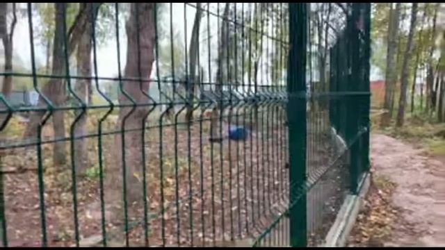 #Эксклюзив! Встреча с героем, вырастившим медведя. Отец медведя Мансура ответит на все вопросы.